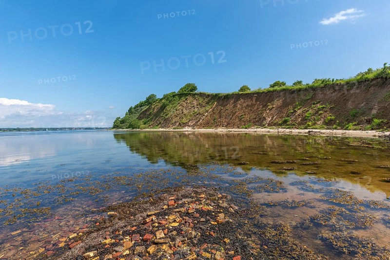 Nature reserve Holnis peninsula on the Flensburg Fjord, nature reserve, water reflection, blue sky, white clouds, Glücksburg, Schleswig-Holstein, Germany, Europe