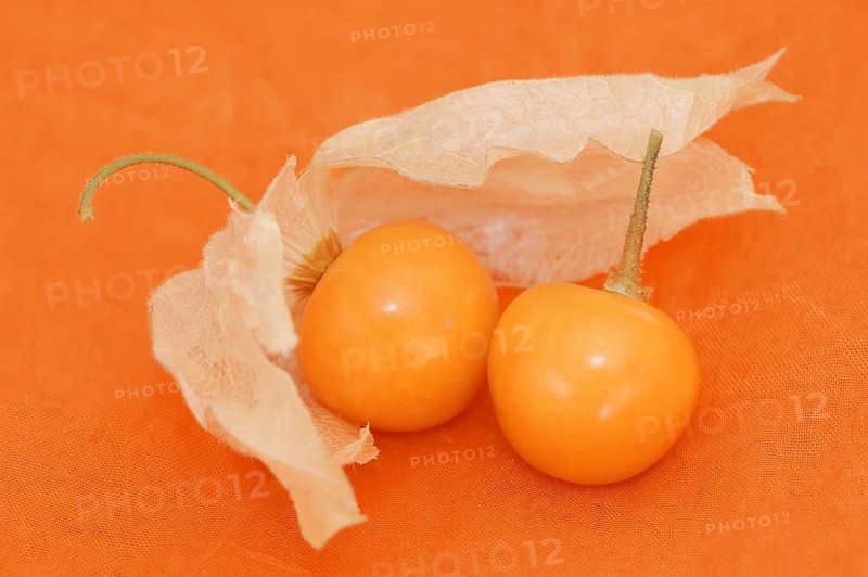 Cape gooseberry or Andean berry (Physalis peruviana), ripe fruit