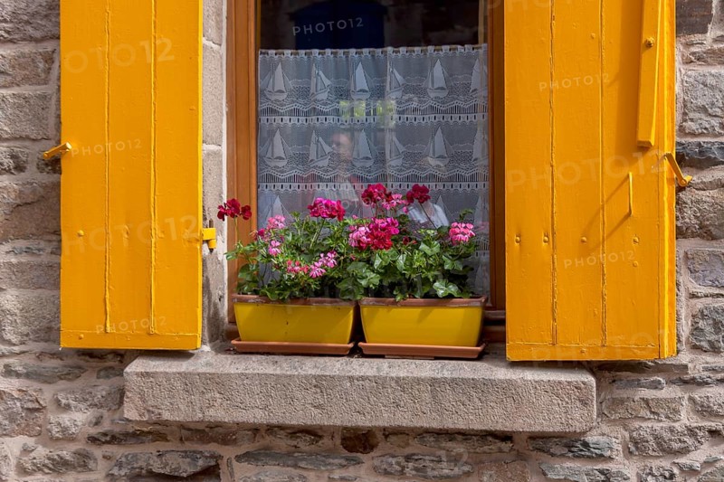 Window with yellow shutters and yellow flower pots, Treguier, Département Côtes-d'Armor, Brittany, France, Europe
