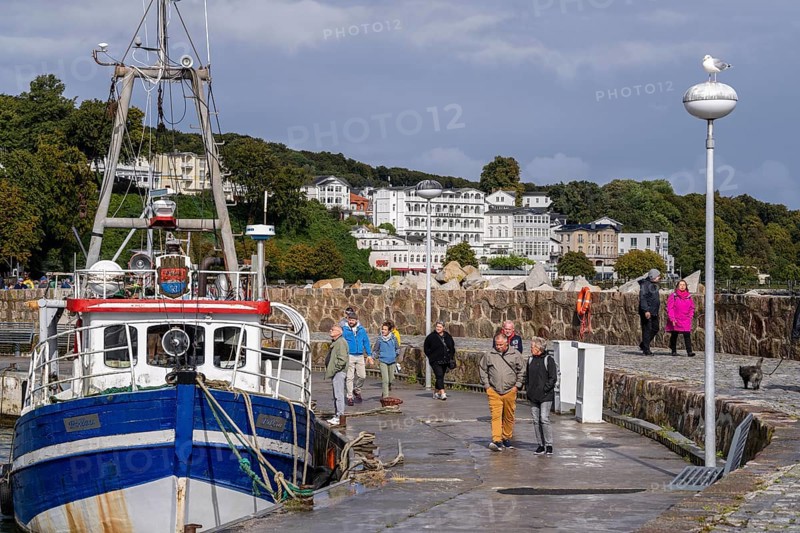 The city harbour of Sassnitz, island of Rügen, fishing boats, pier, behind the old town, Mecklenburg-Western Pomerania, Germany, Europe