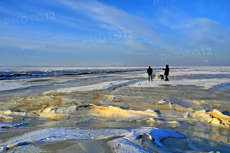 Germany Lower Saxony Varel Dangast Land Butjadingen Strollers Winter, East Frisia, Lower Saxony, Federal Republic of Germany