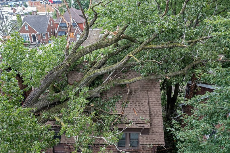 Detroit, Michigan, A storm with 70mph wind gusts blew down a 15-ton, 110-foot cottonwood, damaging three homes in the Morningside neighborhood. One homeowner had insurance, but the other two did not