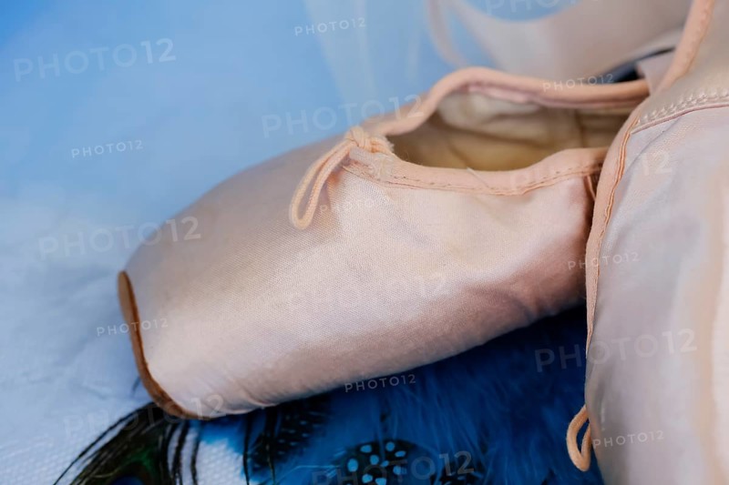 Ballet shoes, pointe shoes on peacock feathers, still life, dance shoes covered with satin in light pink colour, leather sole, studio, Germany, Europe