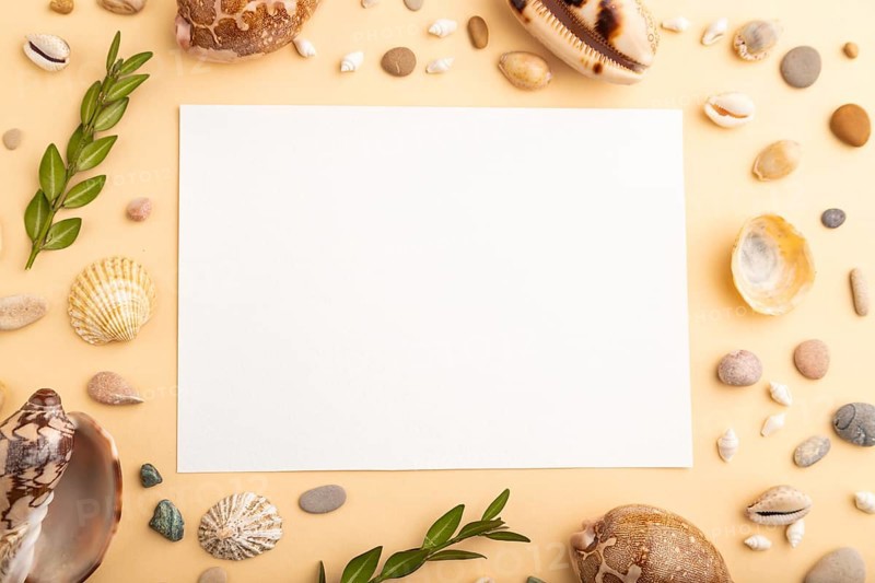 Composition with white paper sheet, seashells, pebbles, green boxwood. mockup on orange background. Blank, top view, still life, flat lay, copy space. travel concept