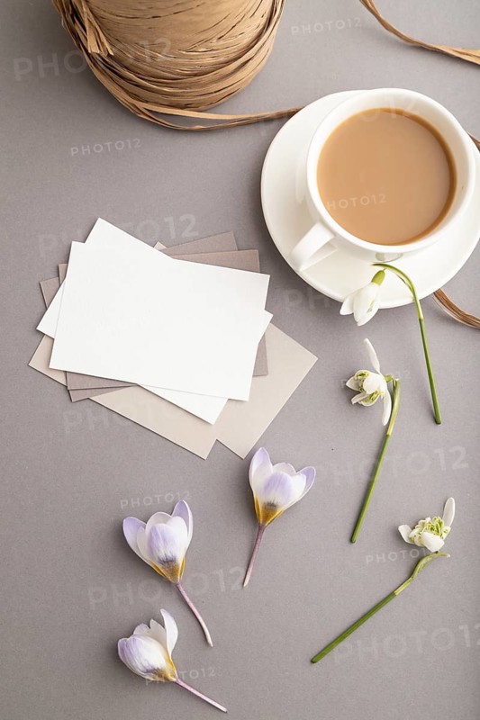 White paper business card mockup with spring snowdrop crocus and galanthus flowers and cup of coffee on gray background. Blank, business card, top view, flat lay, copy space, still life. spring concept
