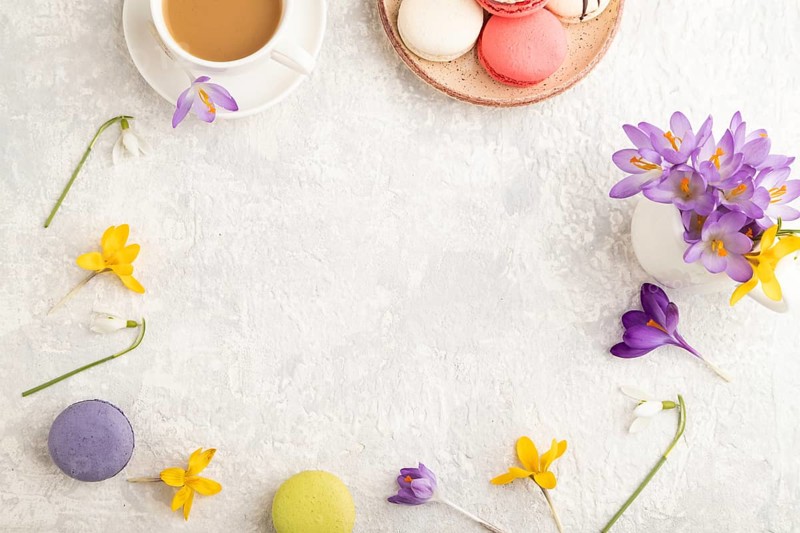 Mockup with spring snowdrop crocus flowers and multicolored macaroons on gray concrete background. Blank, business card, top view, flat lay, copy space, still life. spring concept