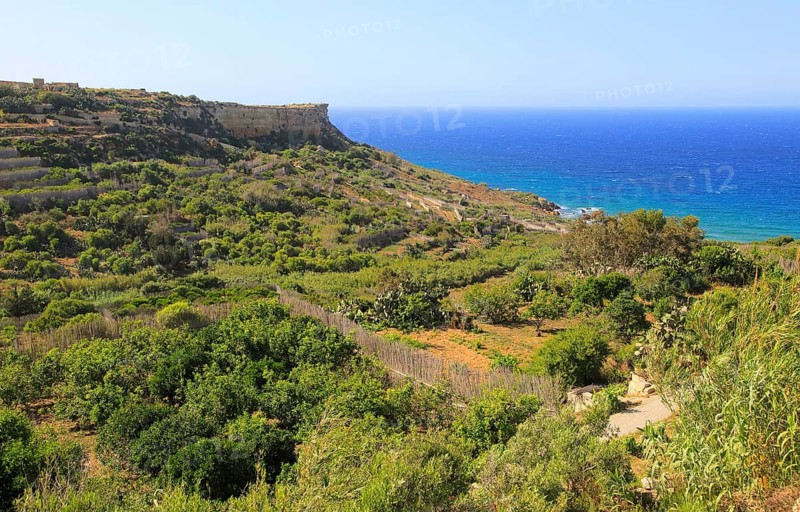 Coastal scenery San Blas bay, island of Gozo, Malta, Europe