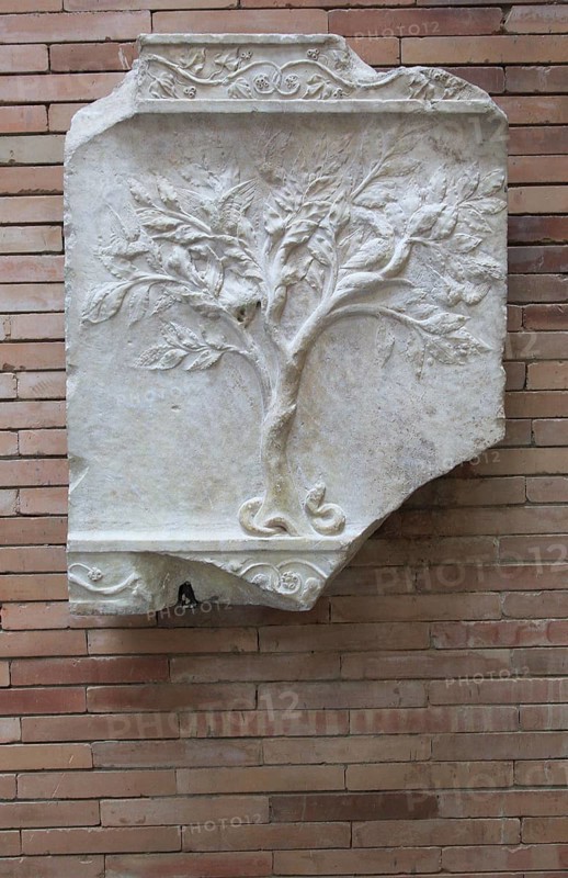 Marble tree with birds and serpent, Museo Nacional de Arte Romano, national museum of Roman art, Merida, Extremadura, Spain, Europe