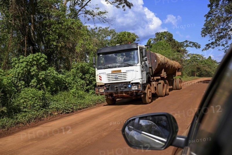 Lorry loaded with tropical timber from the Congo Basin, near Yokadouma, Boumba-et-Ngoko district, Est region, Cameroon, Africa