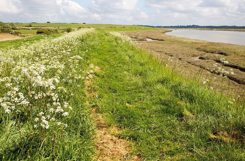 Pathway along flood defence sea wall bank, Butley Creek river, Suffolk, England, UK