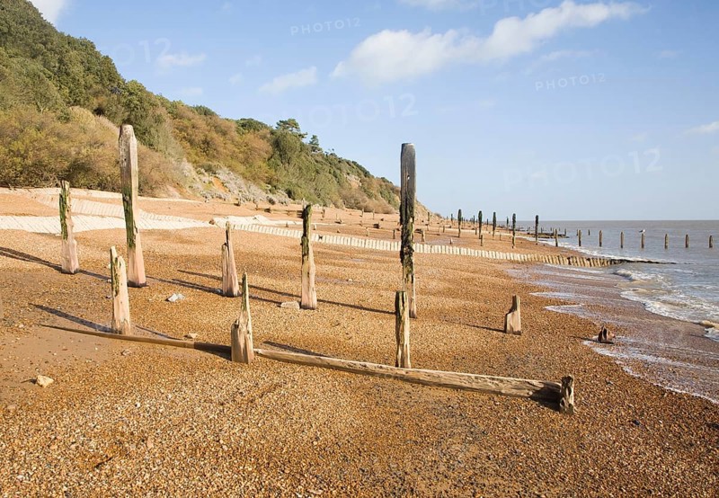 Old broken and abandoned wooden groynes on shingle beach, Bawdsey, Suffolk, England, United Kingdom, Europe