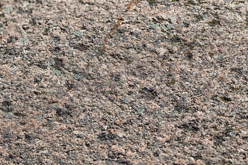 Texture of a boulder with moss and lichen