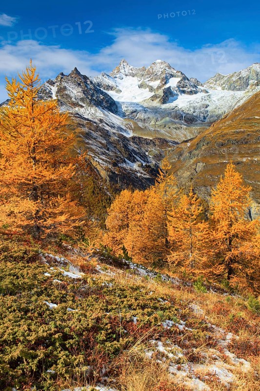 Swiss Alps, Obergabelhorn, 4063 m, Valais, Switzerland, Europe