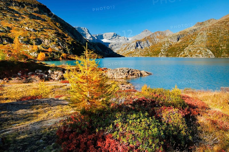 Autumn colours at Lac d'Emosson in the Valais mountains, Switzerland, Europe