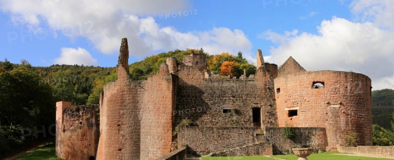 Hardenburg Castle in the Palatinate Forest near Bad Dürkheim on the Wine Route
