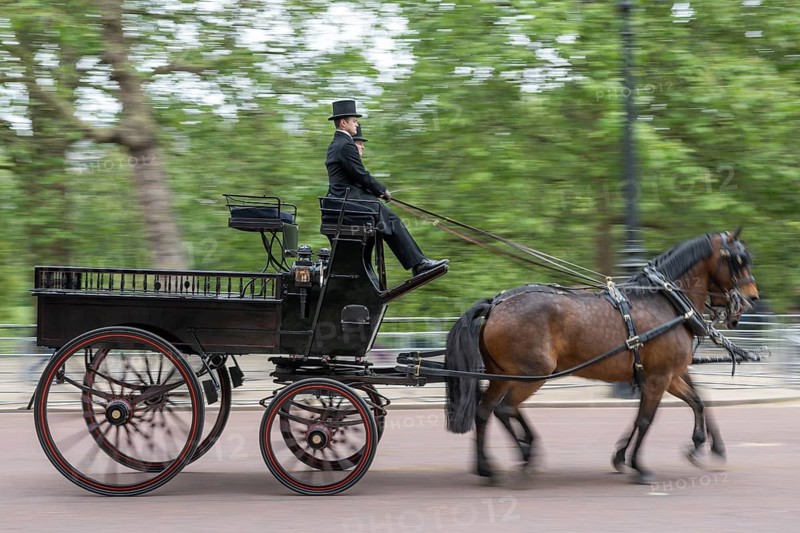 Horse-drawn carriage, Trooping the colour, military parade in June in honour of the British monarch's birthday, The Mall, London, England, Great Britain