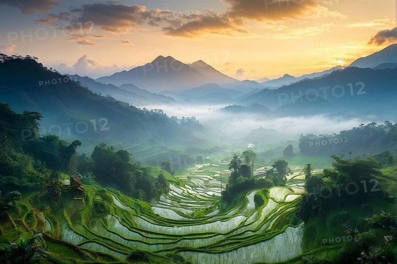 Early morning light bathes Philippines rice terraces cascading down mountain slopes, AI generated
