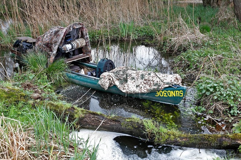 A canoe with camouflaged camera in a swamp, surrounded by vegetation and quiet nature, boat of a nature photographer, working method of a nature photographer, Naturpark Flusslandschaft Peenetal, Mecklenburg-Vorpommern, Germany, Europe