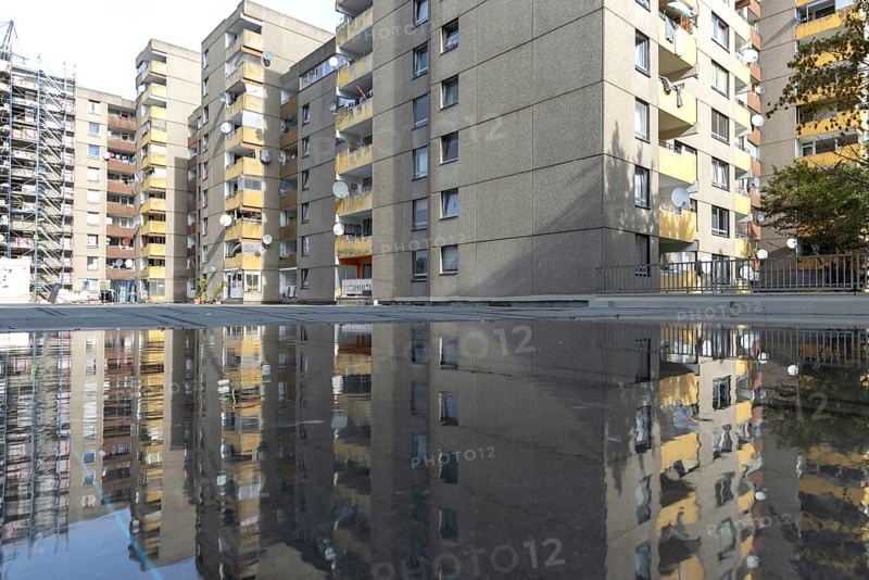 Renovation of numerous rental flats after several apartment buildings fell into disrepair due to extensive mould infestation, satellite town of Chorweiler in Cologne, North Rhine-Westphalia, Germany, Europe