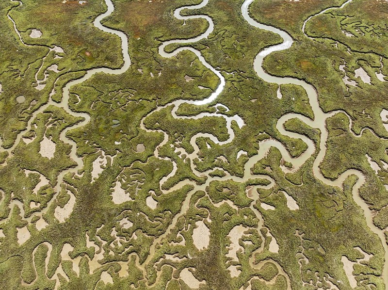 Network of channels and streams at low tide. In the marshland of the Piedras River. Aerial view. Drone shot. Huelva province, Andalusia, Spain, Europe