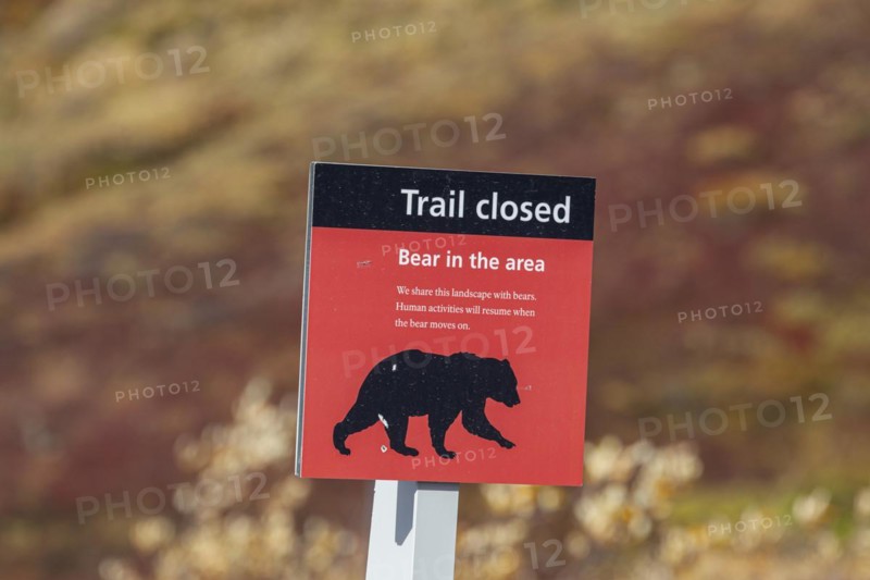 Warning sign for bear encounters, Denali National Park, Alaska, USA, North America