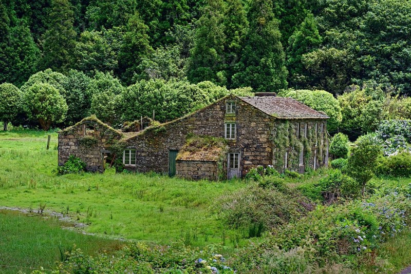 Old stone farmhouse overgrown with plants in a green, wooded area, crater circular hiking trail, Caldeira das Sete Cidades, Sete Cidades, Sao Miguel Island, Azores, Portugal, Europe