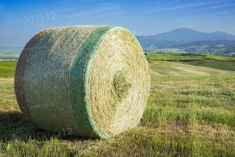 Harvested wheat field with bales of straw, landscape around Pienza, Val d'Orcia, Orcia Valley, UNESCO World Heritage Site, Province of Siena, Tuscany, Italy, Europe