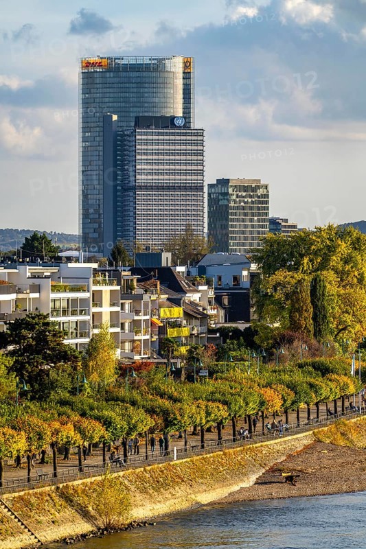 Skyline Bonn on the Rhine, in front the UNFCCC Secretariat of the Framework Convention on Climate Change, in the centre the United Nations high-rise building, Campus Bonn, behind it the Posttower, headquarters of Deutsche Post, Rhine bank Bonn-Beuel, riverside promenade, North Rhine-Westphalia, Germany, Europe
