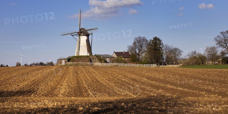 Historic Grottenherten tower windmill, Bedburg, Rhine-Erft district, Lower Rhine, North Rhine-Westphalia, Germany, Europe