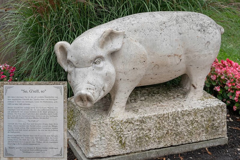 Information about the pig figure, symbolising the rescue of the town of Nördlingen in 1440, Nördlingen, Bavaria, Germany, Europe