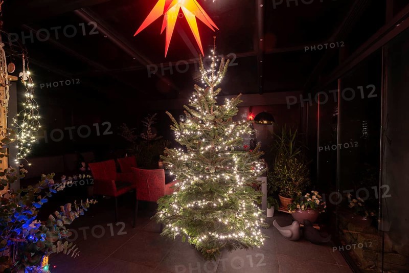 Christmas tree with fairy lights, above Herrnhut star, festive atmosphere, Germany, Europe