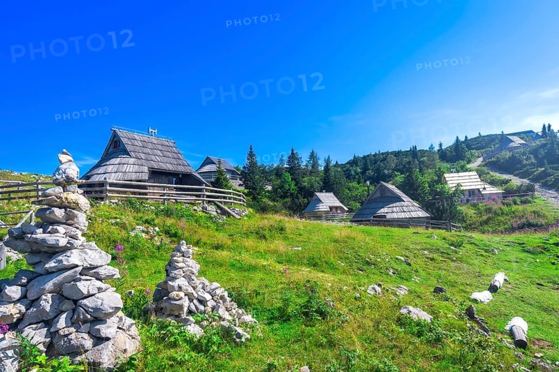 Charming wooden houses nestle on the vibrant slopes of velika planina, slovenia, creating a picturesque scene under the summer sun