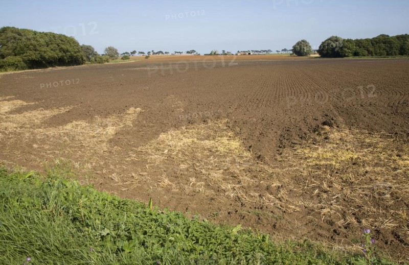 Freshly tilled field, Alderton, Suffolk, England, United Kingdom, Europe