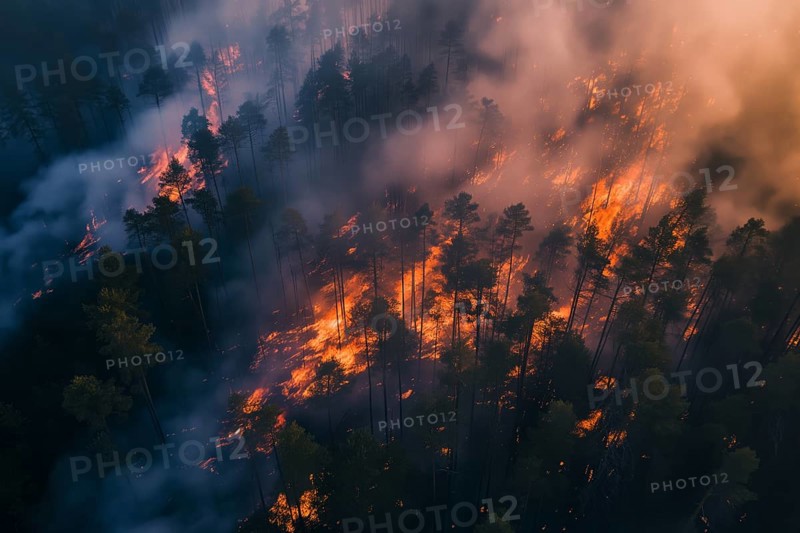 Aerial view of a forest fire is raging through a forest, with smoke and flames visible in the air. The scene is chaotic and dangerous, with trees and other vegetation being consumed by the fire, AI generated