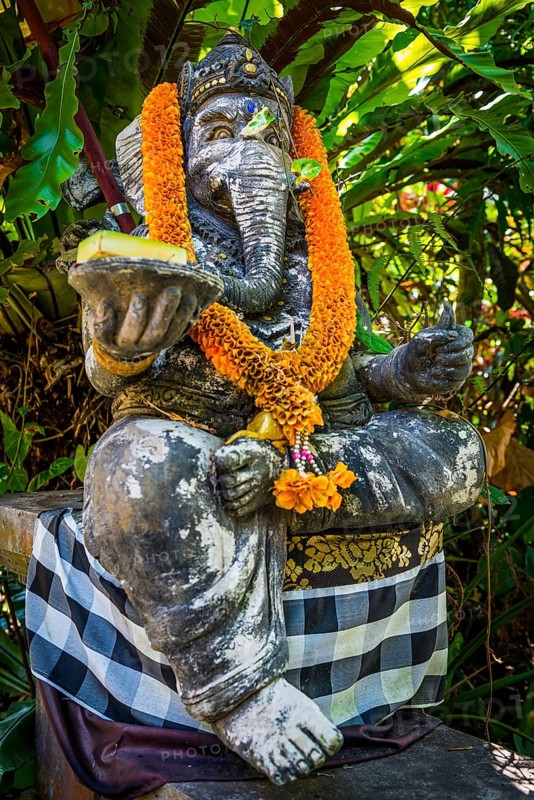 Traditional Ganesha, offering, gift, sacrifice, Hinduism, Ganesha, elephant figure, statue, temple, religion, world religion, god, elephant, sculpture, temple figure, art, culture, figurine, deity, icon, decoration, believer, faith, sculpture, fantasy, art figure, pray, representation, religious, journey, spirituality, traditional, peace, bless, meditation, mythology, sacred, Asian, decorated, abstract, wisdom, image, depiction, adorn, adorned, tradition, Bali, Indonesia, Asia