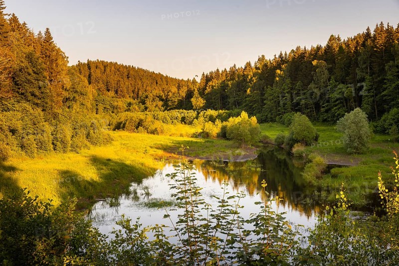 The Lehnmühle dam is a dam in the Free State of Saxony. It is located in the Osterzgebirge in the district of Sächsische Schweiz-Osterzgebirge between the towns of Frauenstein and Dippoldiswalde. The dammed body of water is the Wilde Weißeritz, which rises on the ridge of the Erzgebirge, Lehnmühle Dam, Hartmannsdorf, Saxony, Germany, Europe