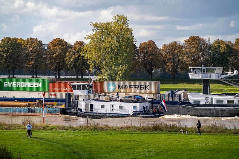 Container freighter Balance on the Rhine at Düsseldorf-Hamm, Rheinauen, North Rhine-Westphalia, Germany, Europe