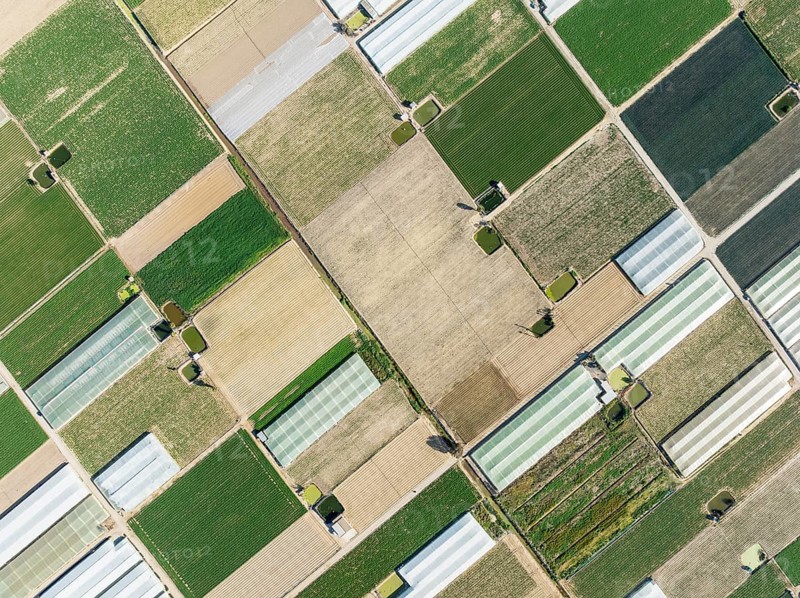 Cultivated fields in the semi rural district of La Algaida next to Sanlúcar de Barrameda. Aerial view. Drone shot. Cádiz province, Andalusia, Spain, Europe