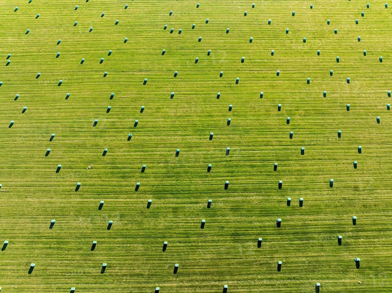Meadow full of colored hay bales, aerial view, southern coast, Iceland, Europe