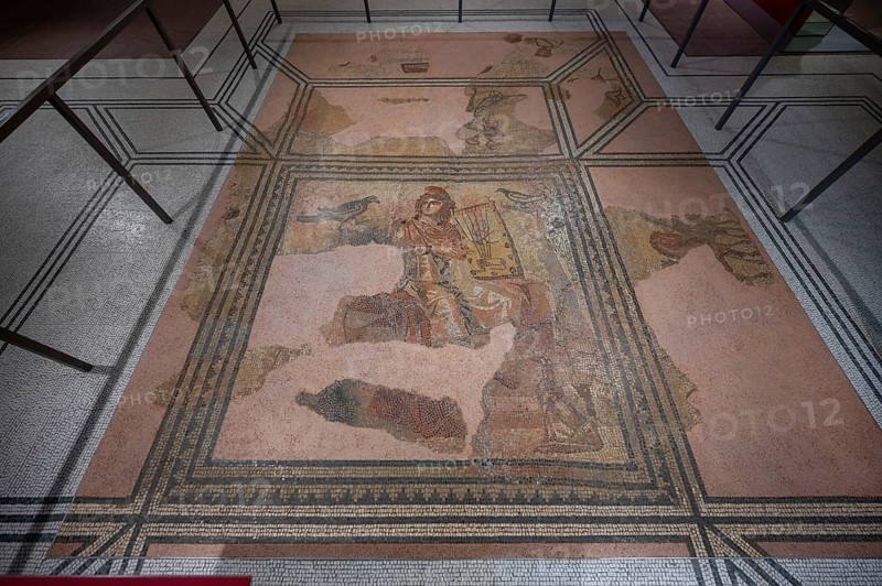 The orpheus mosaic, late 2nd century AD, discovered in 1834 in Rottweil, Dominican Museum, Rottweil, Baden-Württemberg, Germany, Europe