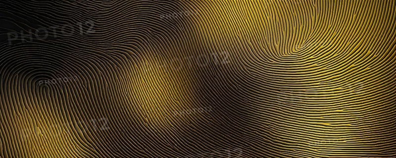 Fingerprint background dominated by swirl patterns in yellow hues, AI generated