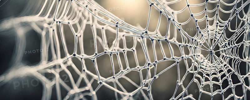 Network of interconnected shapes inspired by the structure of spider silk representing strength and flexibility in material science, AI generated