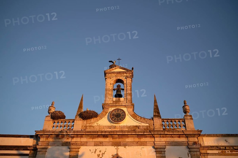 Stork nests, nest, storks nesting on city archway, archway, Arco da Vila, old town, Faro, Algarve, evening light, Portugal, Europe