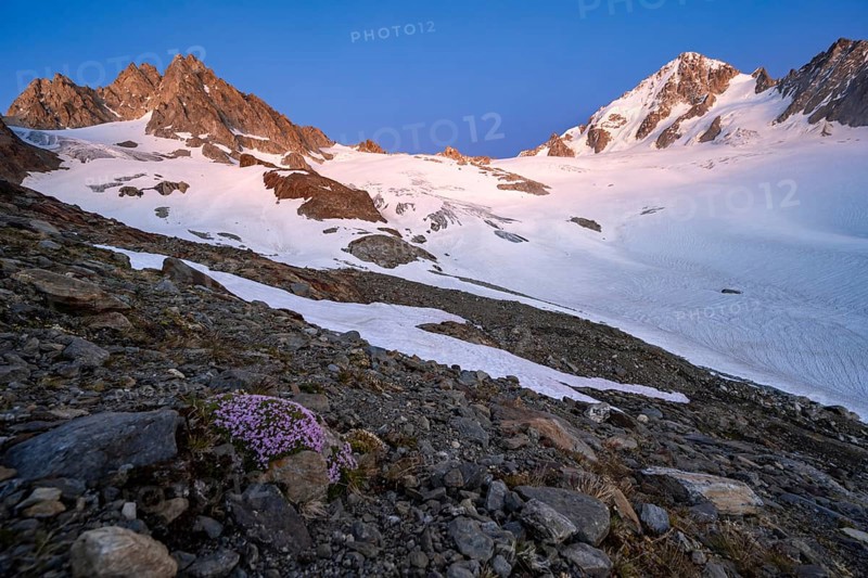 High alpine mountain landscape at sunset, Glacier du Tour, glacier and mountain peak, summit of the Aiguille de Chardonnet, Chamonix, Haute-Savoie, France, Europe