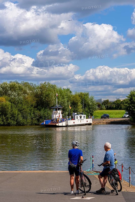 The Main ferry from Seligenstadt to Karlstein, Seligenstadt, Hesse, Germany, Europe