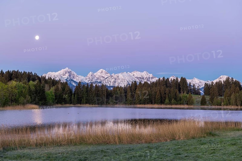 Hegratsrieder See near Füssen, Allgäu Alps, snow, moon, dawn, Allgäu, Bavaria, Germany, Europe