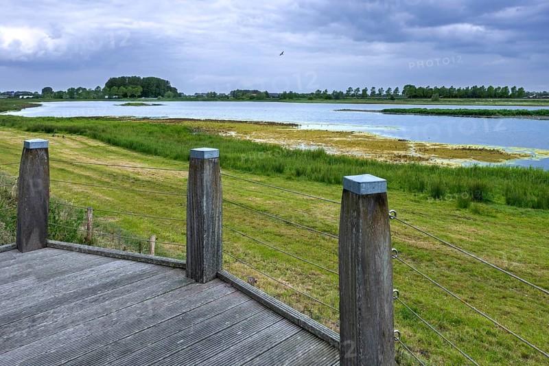 Sophia Polder, Sophiapolder, nature reserve and refuge for water birds near Oostburg, Zeeland, Netherlands