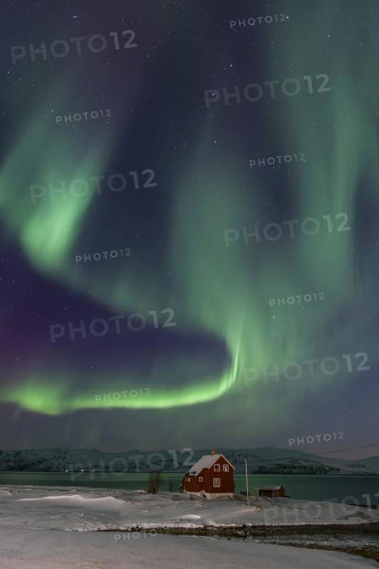 Green and violet northern lights over a red house on the coast, aurora borealis, sea, winter, snow, Repparfjord, Finnmark, Norway, Europe