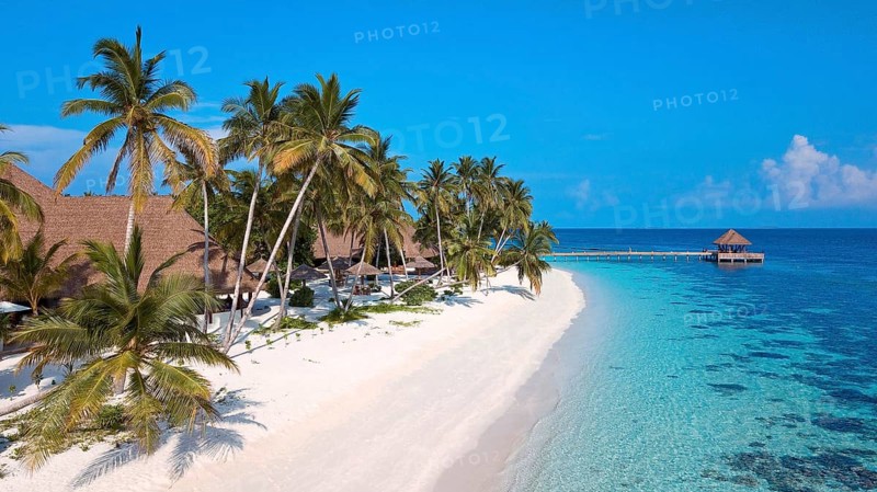 Bird's eye view of sandy beach Maldives beach beach and narrow lagoon of Maldives island with under tall palm trees coconut palms (Cocos nucifera) in Indian Ocean, Filaidhoo Island, Raa Atoll, Maldives, Asia