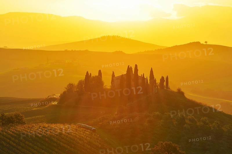 A beautiful countryside scene with rolling hills bathed in golden morning light, featuring a farmhouse surrounded by trees and a misty atmosphere, San Quirico d'Orcia, Val d'Orcia, Provinz Siena, Tuscany, Italy, Europe
